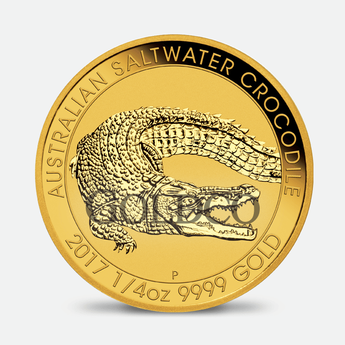 Gold Australian Saltwater Crocodile